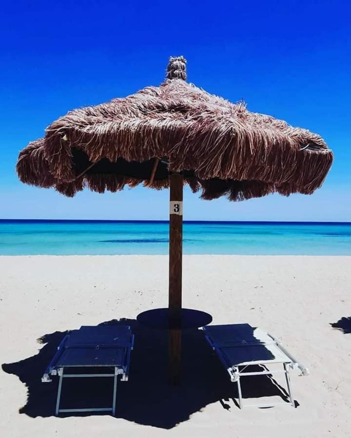Joli Les Pieds Dans L'eau,terrasse Et Clim * Le Barcares